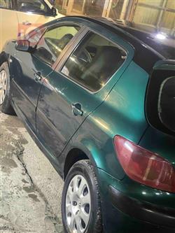 بیجۆ 307